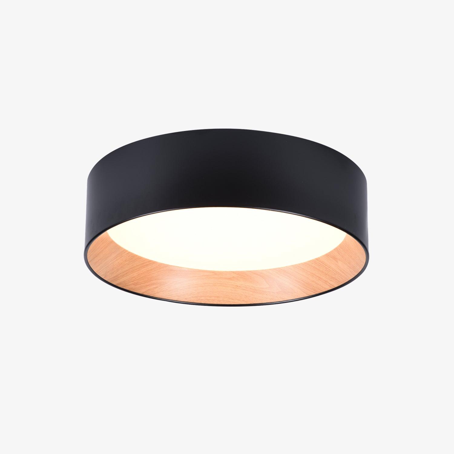 Modern Round LED Flush Mount Ceiling Light with Aluminum Metal Frame for Indoor Living Areas