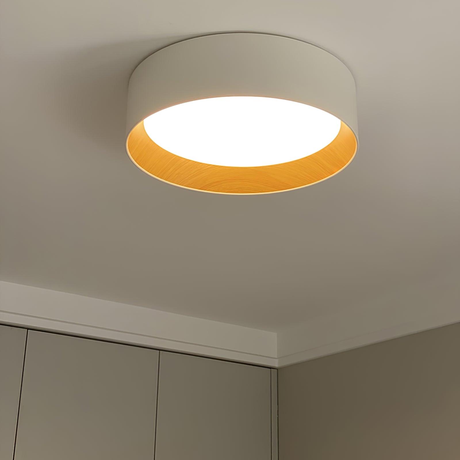 Modern Round LED Flush Mount Ceiling Light with Aluminum Metal Frame for Indoor Living Areas