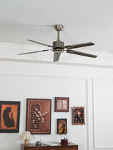 Modern Minimalist 52 Inch Metal Ceiling Fan for Living Rooms and Bedrooms