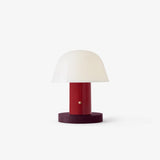 Portable Rechargeable Mushroom Table Lamp with Touch Dimming and Integrated LED