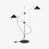 Modern Shear Adjustable Floor Lamp with Twin Arms and Rotatable Metal Shade