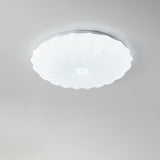Modern Acrylic Round Ceiling Lamp Flush Mount LED Overhead Fixture for Living Room