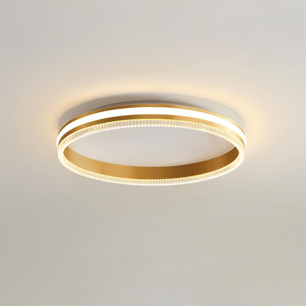 Modern Round Acrylic Ring LED Ceiling Light Fixture for Home and Office