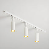 Modern Minimalist LED Cylinder Track Light Adjustable Spotlight for Gallery and Home