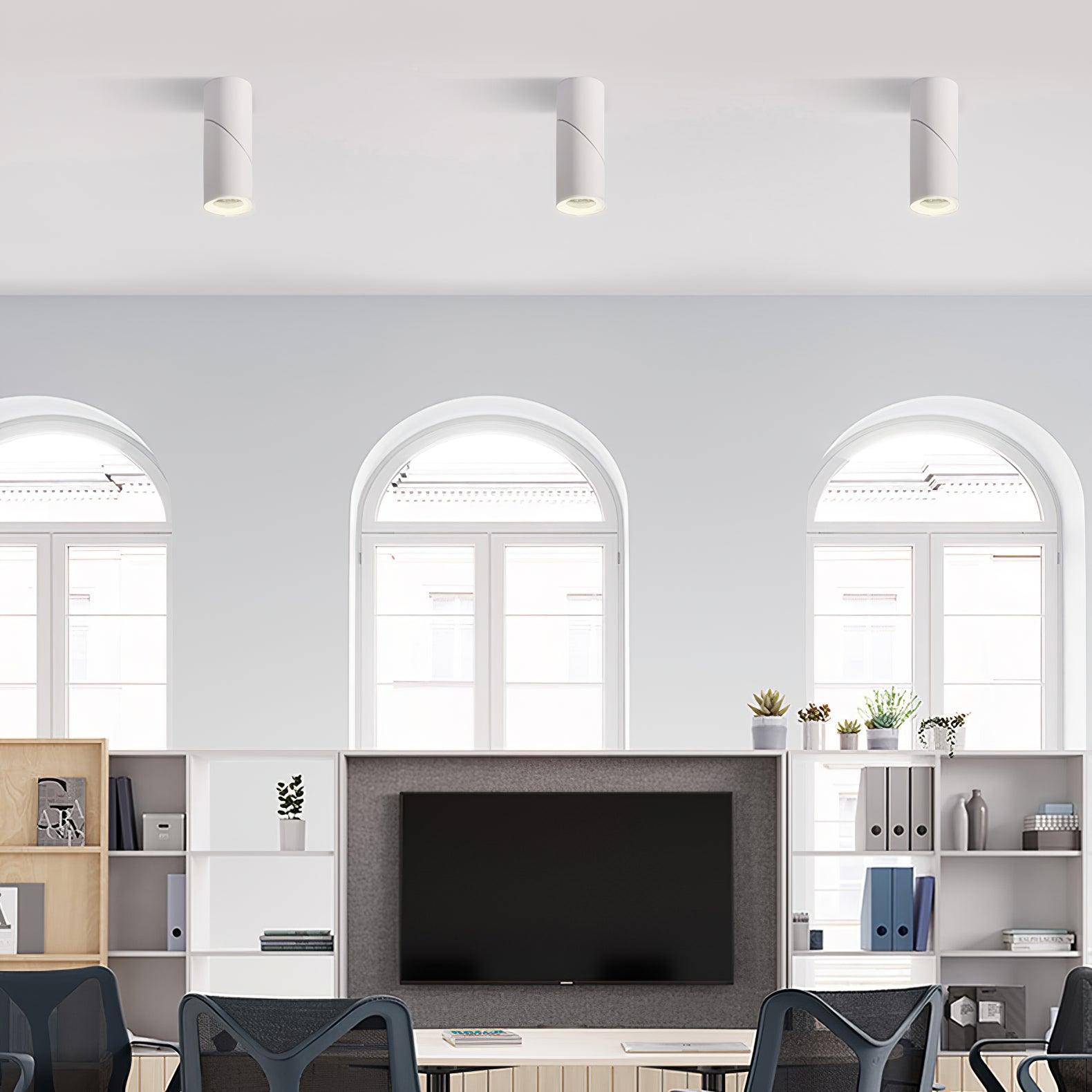 Surface Mounted LED Ceiling Spotlight Adjustable Aluminum Gallery Accent Light White