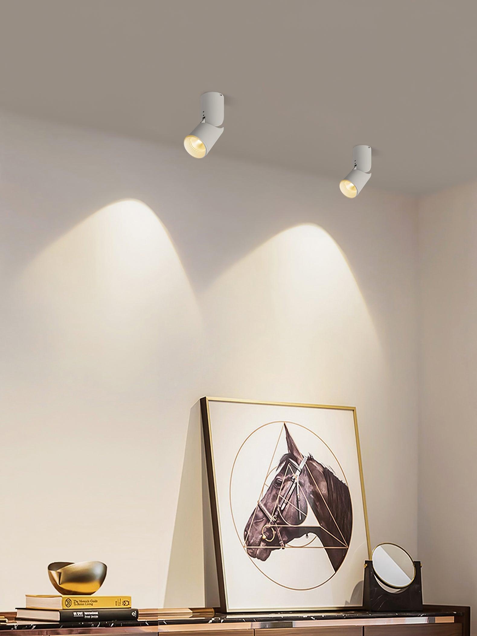 Surface Mounted LED Ceiling Spotlight Adjustable Aluminum Gallery Accent Light White