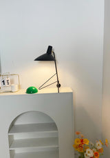 Contemporary Matte Finish Metal Table Lamp with Adjustable Head for Study and Bedside