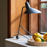 Contemporary Matte Finish Metal Table Lamp with Adjustable Head for Study and Bedside