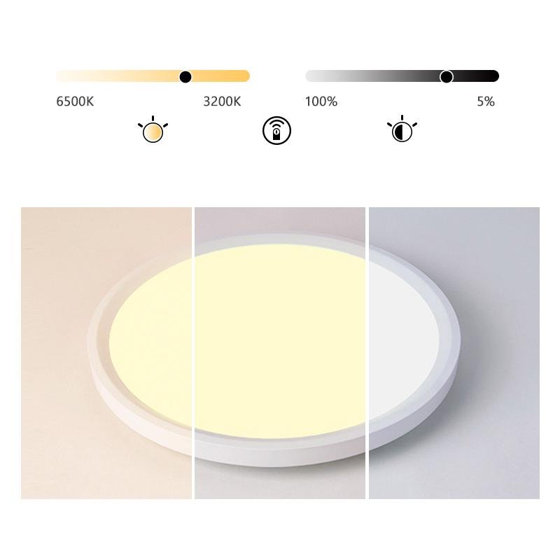 Modern Nordic Black Flush Mount LED Ceiling Light for Kitchen Dining Room