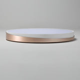 Modern Circular LED Flush Mount Ceiling Light Geometric Iron and PMMA Fixture for Home