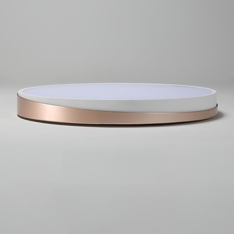 Modern Circular LED Flush Mount Ceiling Light Geometric Iron and PMMA Fixture for Home