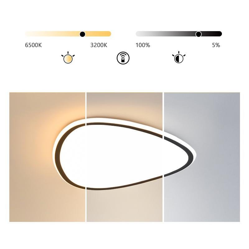 Modern Reuleaux Triangle Geometric Ceiling Light Nordic Flush Mount LED Fixture with Remote Control