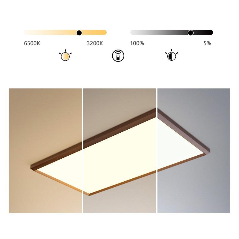 Modern Coffee Brown Rectangular LED Flush Mount Ceiling Light Dimmable Portrait Lamp