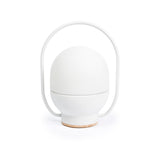 Portable LED Table Lamp with Glass Shade and Integrated Metal Handle for Indoor Use