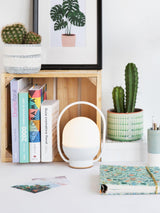 Portable LED Table Lamp with Glass Shade and Integrated Metal Handle for Indoor Use