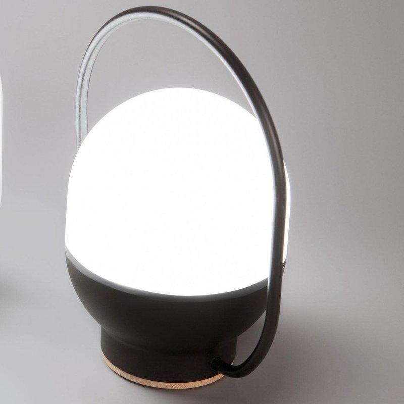 Portable LED Table Lamp with Glass Shade and Integrated Metal Handle for Indoor Use