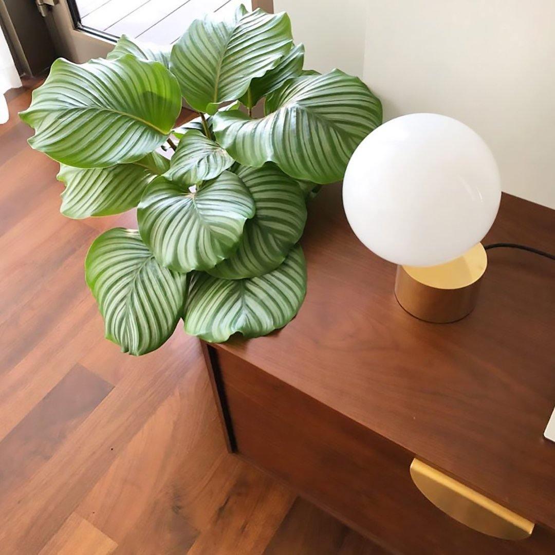 Modern Handcrafted Glass Globe Desk Lamp Gold Minimalist Table Light for Home Office