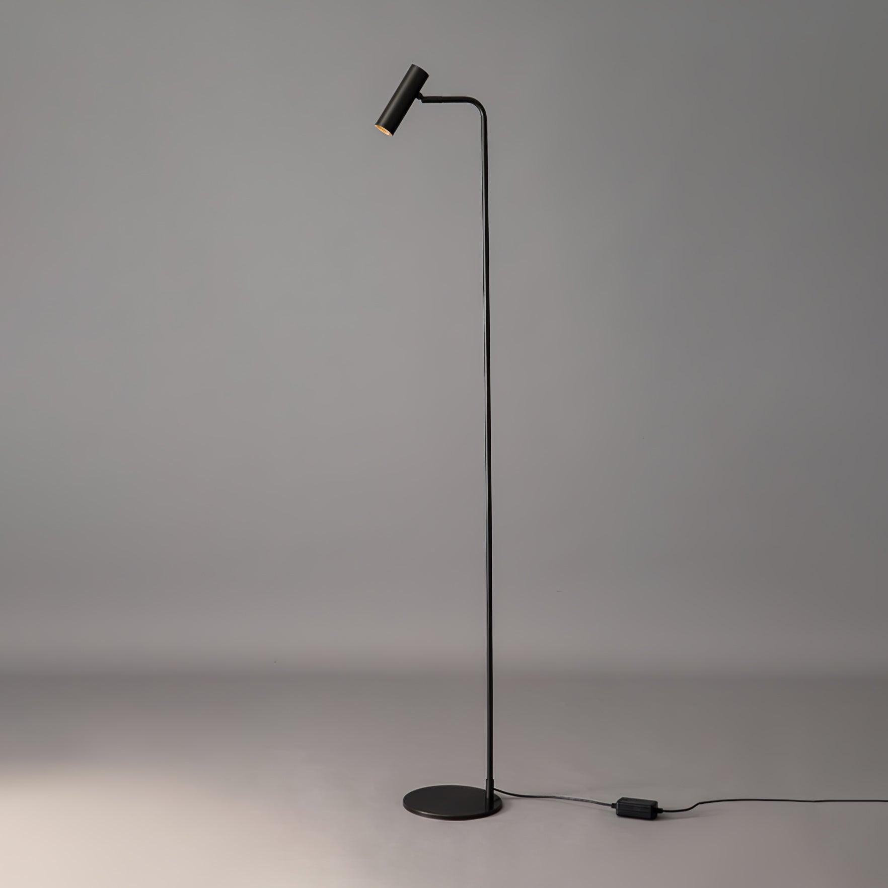 Modern Minimalist Adjustable LED Reading Floor Lamp with Slim Brass Body