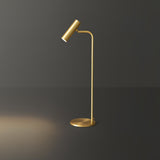 Modern Brass LED Table Lamp with Adjustable Head and Satin Finish Design