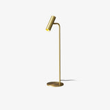 Modern Brass LED Table Lamp with Adjustable Head and Satin Finish Design