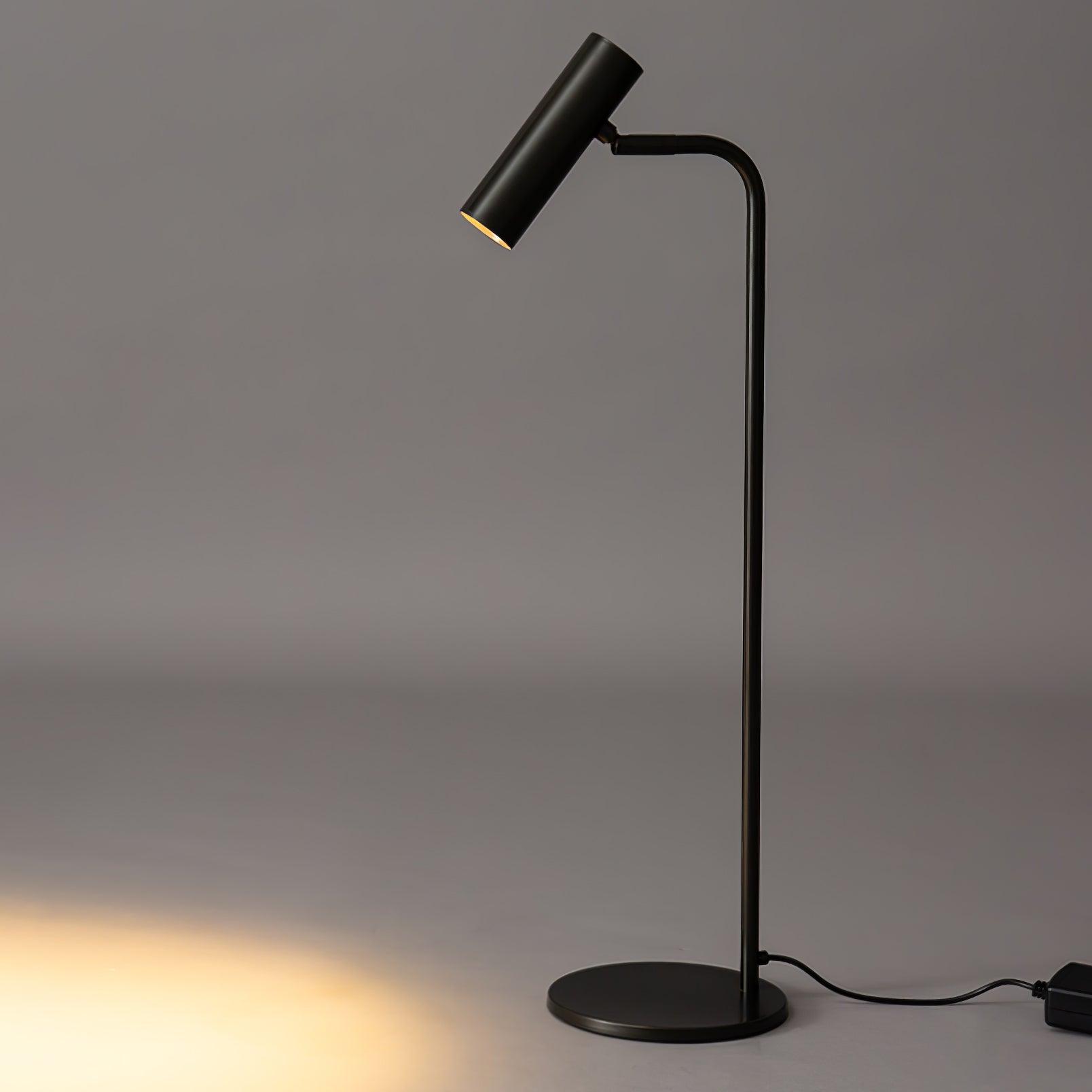 Modern Brass LED Table Lamp with Adjustable Head and Satin Finish Design