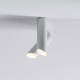 Tubes Modern Adjustable Tubular Flush Mount Ceiling Lamp for Indoor Living Spaces