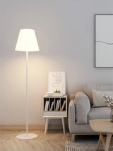Modern Ward Floor Standing Lamp with Metal and Acrylic Shade for Living Room