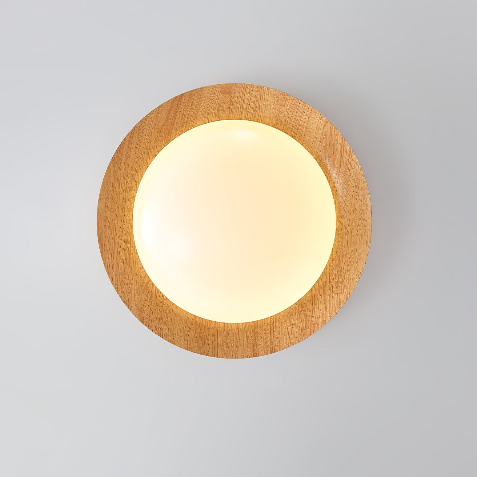 Modern Geometric Double Half Round LED Flush Mount Ceiling Light Minimalist Interior Fixture