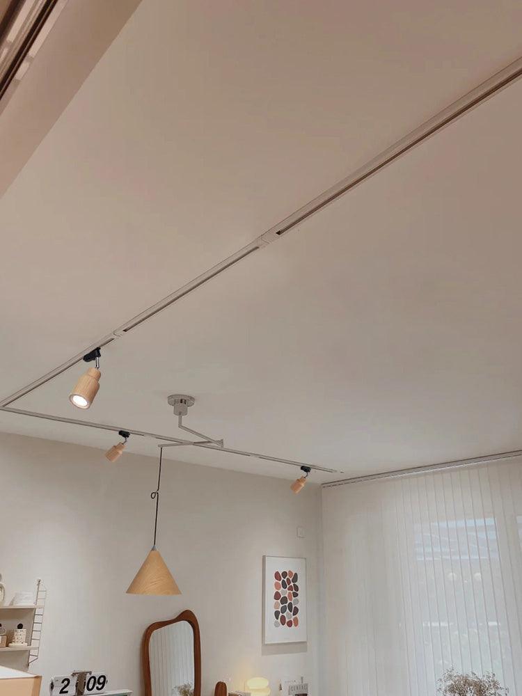Modern Wood and Steel Adjustable Track Lighting Fixture for Ceiling or Wall Mount