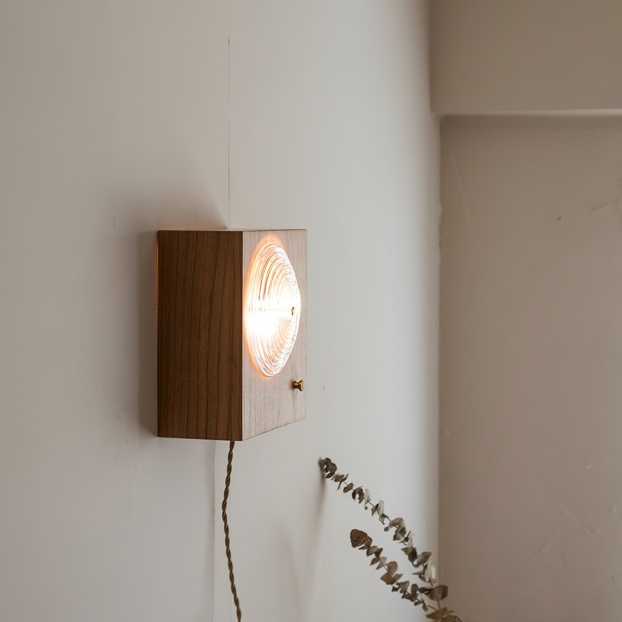 Antique Camera Inspired Wall Sconce with Cherry Wood Panel and Ribbed Glass Shade