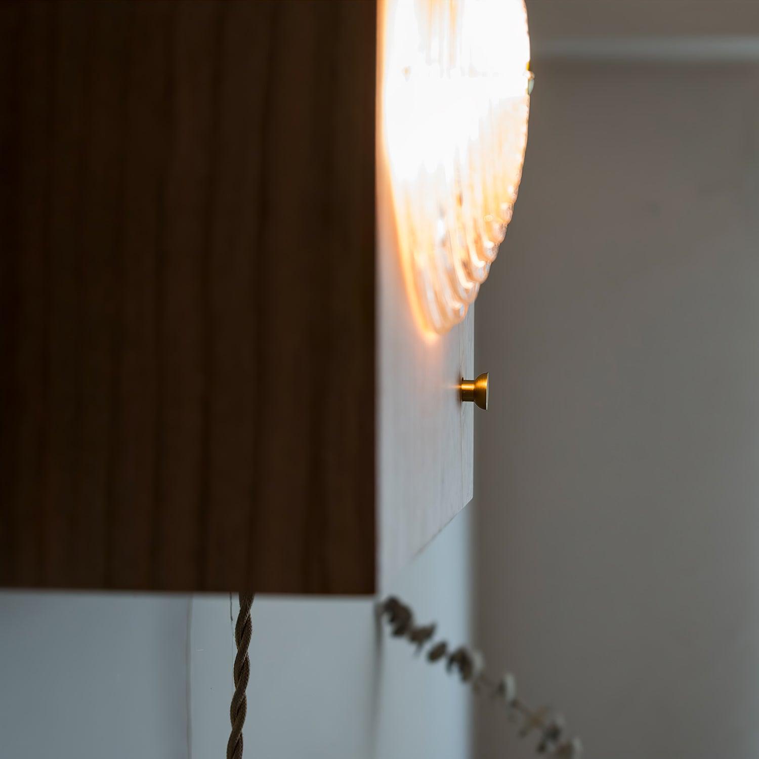 Antique Camera Inspired Wall Sconce with Cherry Wood Panel and Ribbed Glass Shade