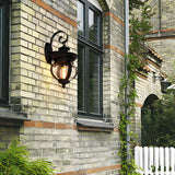 Black Outdoor Wall Lantern with Seeded Glass Globe and Curved Arm Design