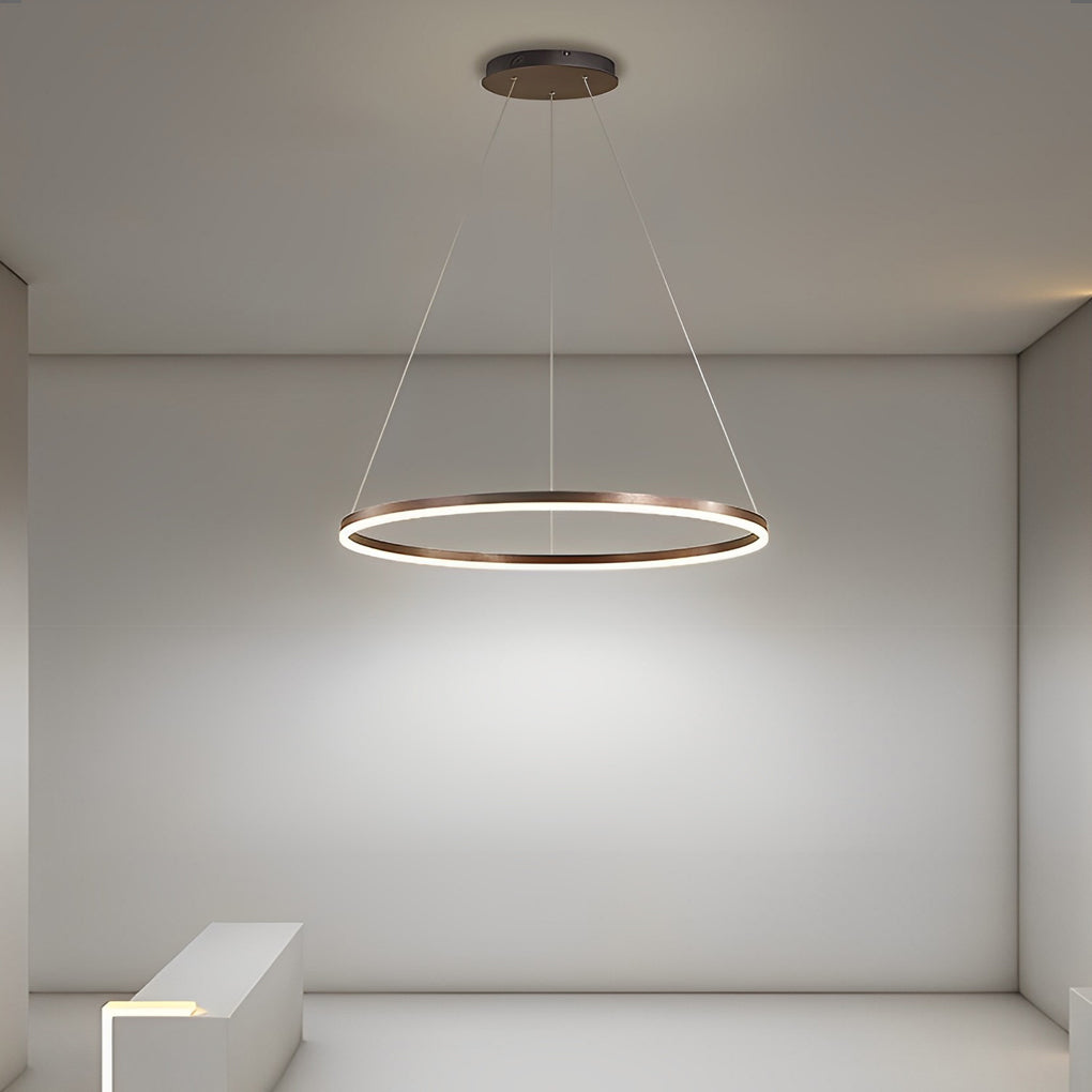 Brown Circular 16 Inch LED Pendant Light Acrylic Shade Modern Hanging Ceiling Fixture