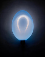 Bulla Artistic Glass Bubble Wall Light Modern Integrated LED Sconce
