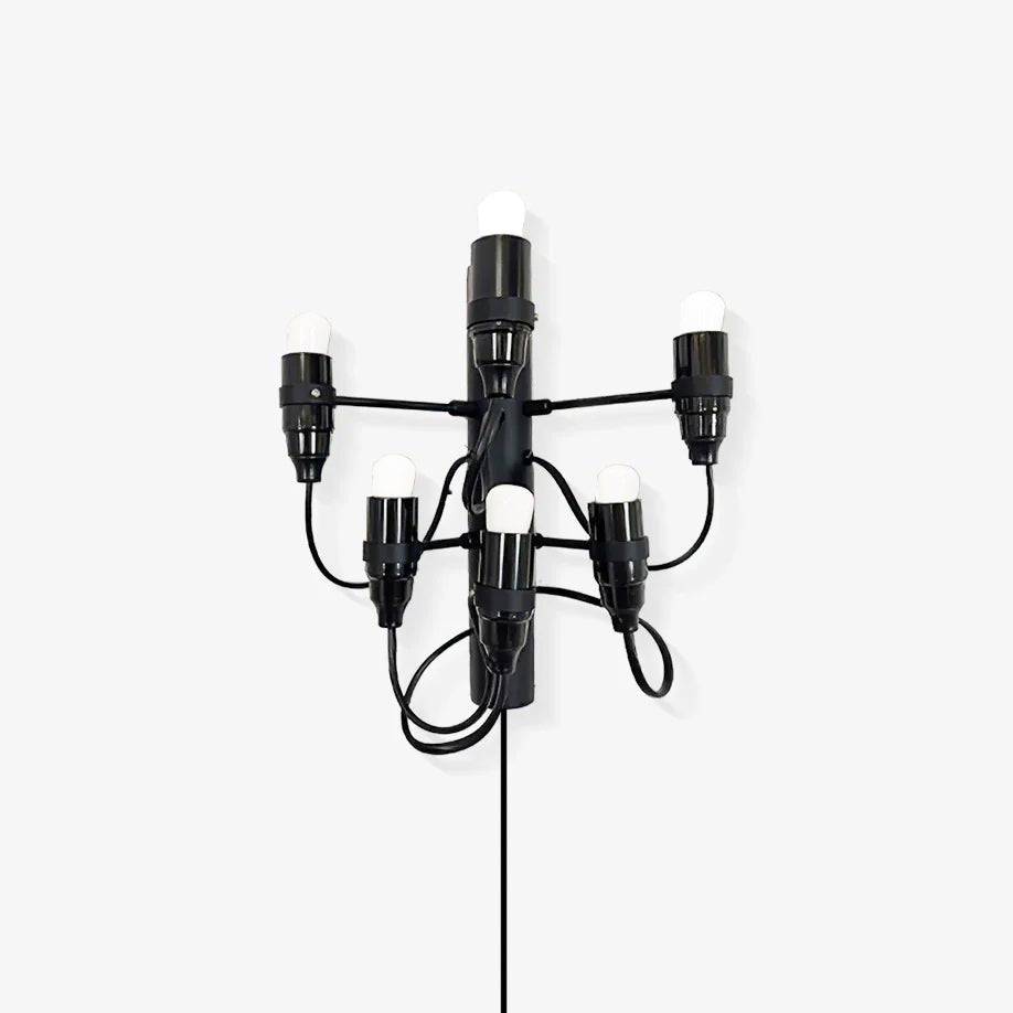 Contemporary Fruit Wall Mounted Plug In Light with Steel Base and Multiple Bulbs