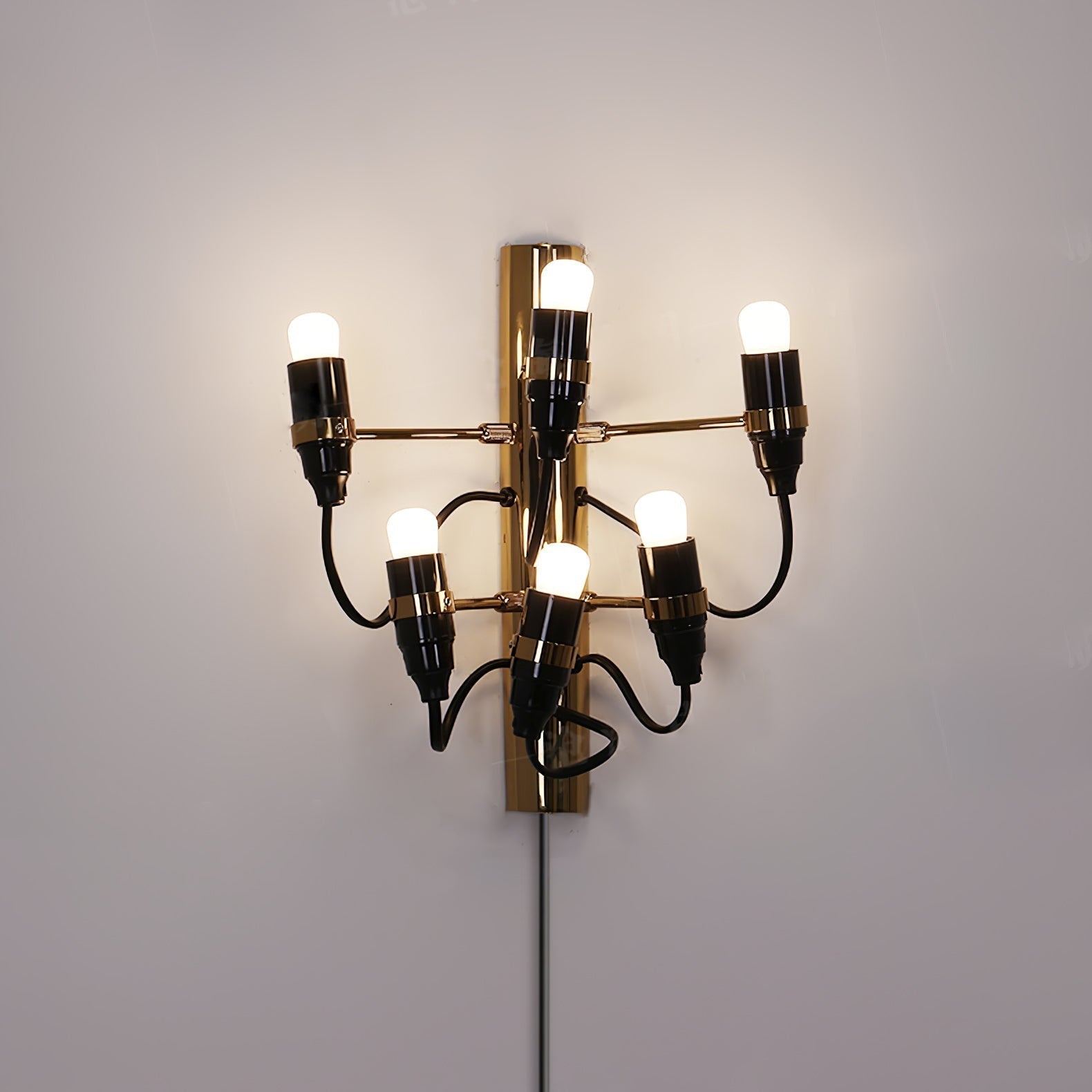 Contemporary Fruit Wall Mounted Plug In Light with Steel Base and Multiple Bulbs