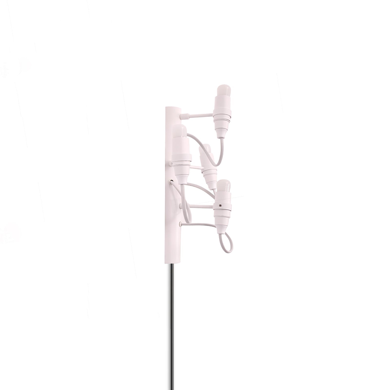 Contemporary Fruit Wall Mounted Plug In Light with Steel Base and Multiple Bulbs