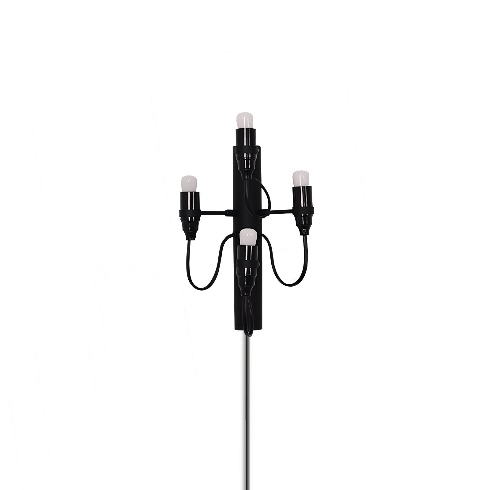 Contemporary Fruit Wall Mounted Plug In Light with Steel Base and Multiple Bulbs