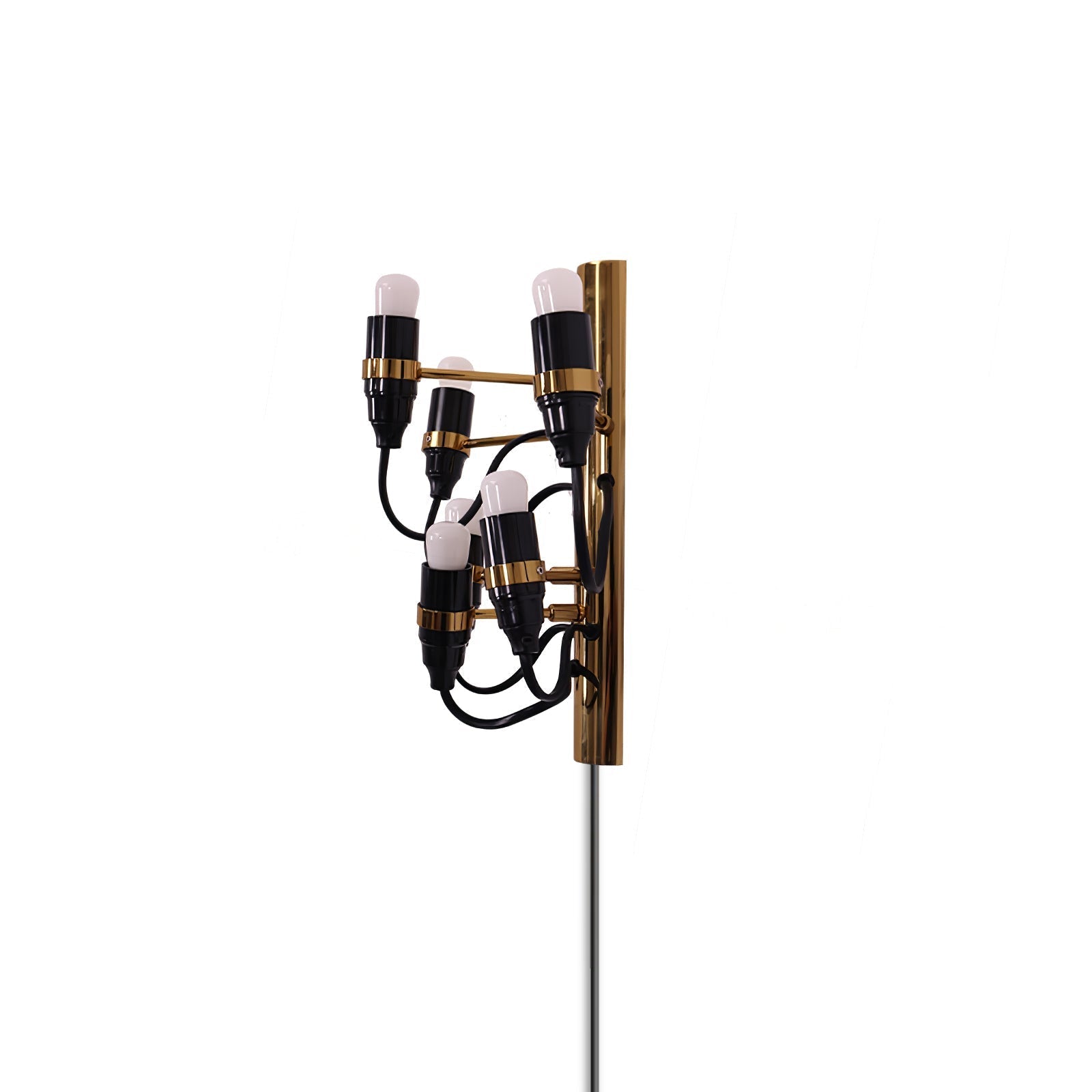 Contemporary Fruit Wall Mounted Plug In Light with Steel Base and Multiple Bulbs