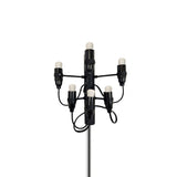 Contemporary Fruit Wall Mounted Plug In Light with Steel Base and Multiple Bulbs