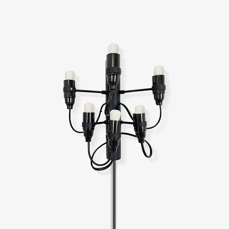 Contemporary Fruit Wall Mounted Plug In Light with Steel Base and Multiple Bulbs