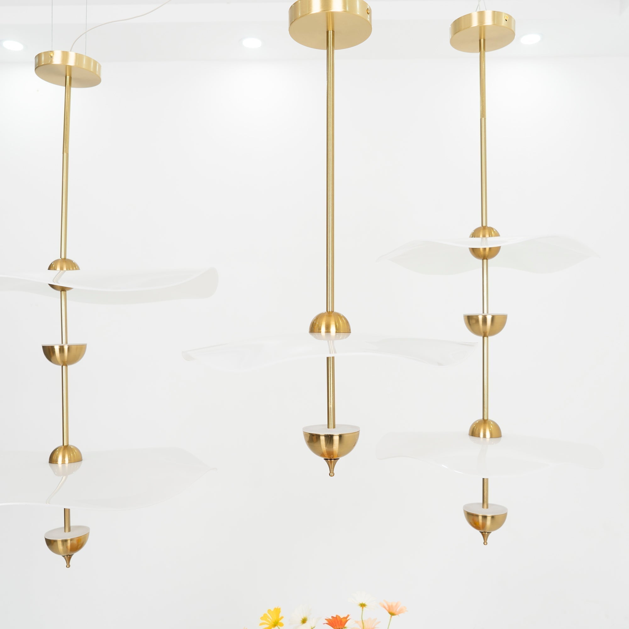Contemporary Gold Double Biscuit LED Pendant Light for Modern Dining Room Lighting