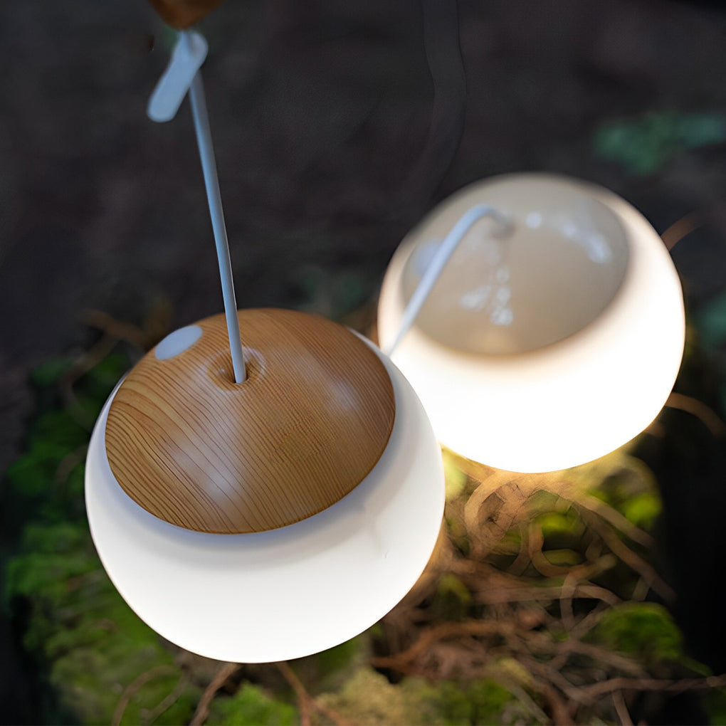 Dimmable LED Portable Camping Lantern USB Rechargeable Outdoor Hanging Light