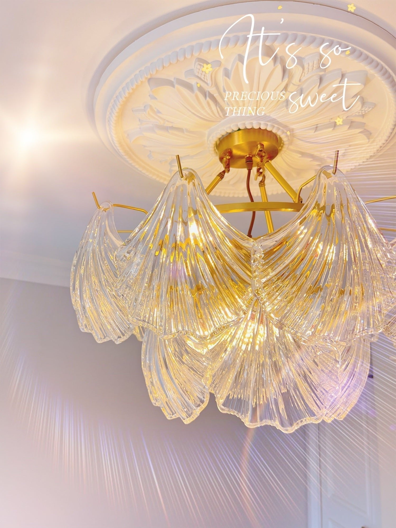 luxury-ribbed-glass-shell-pendant-chandelier-brass-finish-modern-ceiling-light-fixture