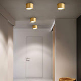Minimalist Cylindrical LED Flush Mount Ceiling Light Copper Brass Gold Finish Downlight