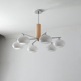 Mid Century Modern Glass Persimmon Chandelier Elliptical Pendant Light Fixture