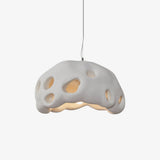 Modern Ant Nest Resin Pendant Light Sculptural Designer Hanging Lamp for Indoor Decor