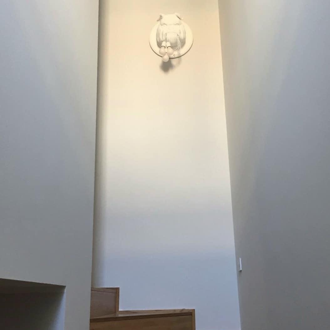 Modern Bulldog Resin Wall Sconce Artistic Animal Sculpture Lighting Fixture