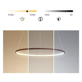 Modern Circle LED Chandelier Dimmable Ring Pendant Light for Dining Room