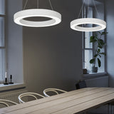Modern Circular LED Hanging Profile Light Suspended Ring Pendant for Gym Office Spaces